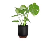 Fox & Fern Pot de Fleur Interieur, Pot pour Plantes en Polystone, Cache Pot Plante Interieur et Extérieur Résistant UV et Gel, Pot Fleur Exterieur Grande Taille, Jardinieres Exterieur Bouchon Drainage