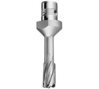 Fein – Fraise à pastille de carbure 63127 – emmanchement QuickIN – Ø12 mm – 1 pièce