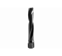 Fraise DOMINO FESTOOL D 12-NL 70 HW-DF 700 - 497870