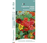France Graines - Capucine Naine MIX