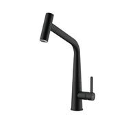 FRANKE 115.0625.190, Robinet d'évier de cuisine Icon pull-out spray, Mat noir