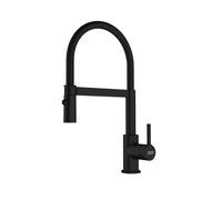 Franke Mitigeur d'évier Lina FC 2583.901 – bras flexible et douchette – Noir mat 115.0725.838