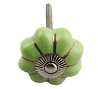 Freak Scene Bouton de meuble en céramique - Poignée de porte rosace Shabby Chic - couleur unie - vert - argent
