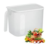 Fridge Organizer Box - Ice Bin, Frosted Clear Container, Handle Lid Basket