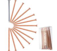 Frienda 100 mm 12 Pièces Clous en Cuivre Longs pour Tuer des Arbres | Retrait des Souches, Avec 1 Pièces 100 mm Clou en Acier, Boîte de Rangement Incluse