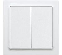 Friends of Hue Philips Hue 30055723 Bouton radio
