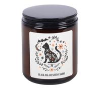 Frightful Folk Cat Bougie parfumée Figue noire | Décoration d'Halloween | 9 x 7 cm