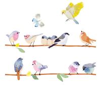 Frise adhésive sticker branche d'oiseaux (2,1 m)