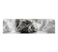 Frise Auto-collante Chatons Gris Aux Yeux Verts - 1 Rouleau