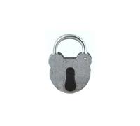 FTH - Cadenas 2493 orps en acier galvanisé de 55mm, anse en acier zingué de Ø 6,5mm, entrée de clé protégée par un cache, 2 clés à gorges