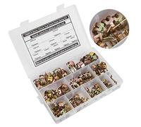 FTVOGUE Colliers de Serrage à Engrenage à Vis sans Fin, 100 Pièces, en Acier au Carbone zingué, 6-22mm, Joint à Ressort Flexible pour Tuyaux de Carburant sans Bords Tranchants