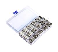 FTVOGUE Kit de Fusibles en Verre, Fusibles à Rapide avec Capuchon en Cuivre 250 Pièces 6x30mm 5x20mm 1 à 20A 250V, Embouts en Laiton pour Tube de Verre, Protection contre les Courts-circuits de