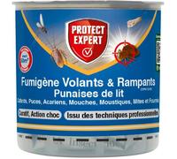 Fumigène Anti-Punaise De Lit 10g Elimine Les Larves & Punaises De Lit & Acariens sans Dépôts Visibles ni Odeurs Persistantes