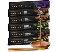 Fumino Encens Baton Lot 6 Boîtes 84 Bâtonnets (90g) Feu et Givre Naturels Frais Faits Main, Senteur Masala Agarbatti Joss pour la Relaxation et la Méditation - Encens Japonais Tierra Zen - Encensoir