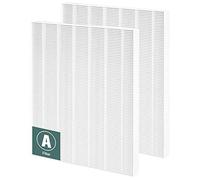 Funmit Lot de 2 filtres de rechange 115115 Taille 21 compatibles avec purificateur d'air Winix PlasmaWave C535 5300 5300-2 5500 5500-2 6300 6300-2 P300 AM90 9000 5000 5000B C90 09 98 00