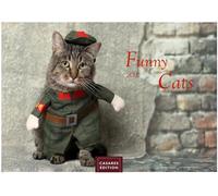 Funny Cats Kalender 2027 - Wandkalender | Fotokalender Tierkalender 24x35cm - Witziger Katzenkalender