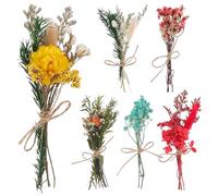 FUNOMOCYA Mini Bouquet de Fleurs séchées 6pcs, Fleurs éternelles à Faire soi-même, décorations pour événements et intérieur, Facile à Entretenir, Composition Naturelle