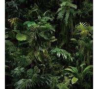 FunStick Papier Peint Tropical Jungle Noir Vert Papier Peint Adhesif Mural Feuille Jungle Papiers Peints Autocollants Chambre Salle de Bain Bureau Vinyle Stickers Muraux Vert Foncé Tropicale 44.5CM×3M