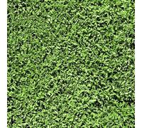 FunStick Papier Peint Vert Feuille Herbe Rouleau Adhesif Decoratif Vert Autocollant Mural Chambre Adulte Botanique Lavable Papier Adhesif pour Meuble Cuisine Vinyle Meuble Adhesif Motif 44.5CM×3M