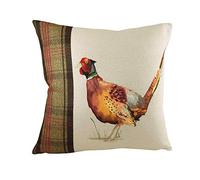 furn. Evans Lichfield Hunter Housse de Coussin Motif Faisan Multicolore 43 x 43 cm