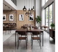 FurnitureR Tables de Cafétéria en Brune, Table de Cantine Scolaire pour 4 à 6 Personnes, Plateau en Bois Epais avec Structure Métallique, pour Les Repas et Les Réunions, 120x70x75cm