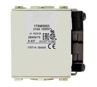 Fusible 170M5952 170M5953 170M5954 170M5955 170M5956 170M5957 170M5958 170M5959 170M5960 170M5961(170M5954)