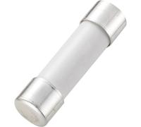 Fusible de multimètre (Ø x L) 6.35 mm x 25,4 mm 1 A 250 V, rapide -F- 110102700109X contenu 1 pcs.