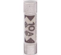 Fusible de multimètre TRU COMPONENTS 6FF-1 1208598 (Ø x L) 6.35 mm x 31.8 mm 10 A 600 V rapide -F- 1 pc(s)