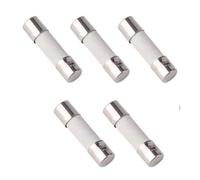 Fusible en Céramique - Professionnel - 5mm x 20mm - Lot de 5 - Fusion Rapide - 250V - 1A