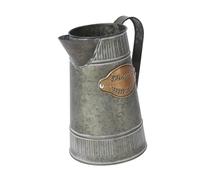 FUTUREORYY Pot à Fleurs en Fer Antique avec Poignée Style Pichet pour Décoration Intérieure Rustique et Charme Campagnard Adapté aux Plantes en Pot et Fleurs Artificielles