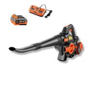 FUXTEC Kit souffleur/aspirateur de feuilles à batterie 40V FX-E2LBSSET