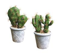 Fycooler Plantes succulentes artificielles en Pots Faux Cactus Faux Succulents décoratifs Faux Cactus en Pot Cactus avec Rock Faux Cactus Artificiel pour Décoration de Maison Décorations d'intérieur