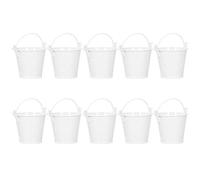 Fydun Mini Pots de Fleurs élégants en Fer, 10 Pièces, pour Décoration Succulente et Intérieure, Idéal pour la Maison, Le Bureau, Le Balcon et Le Jardin (4 * 5.5 * 6)