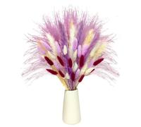 Fyearfly Bouquet de fleurs séchées - Queue de lapin naturelle - Herbe de roseau - Véritable fleurs préservées - Décoration d'intérieur - Remplissage de vase - Pièce maîtresse de table de salon