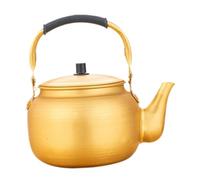 FytStycale Bouilloire électrique Design pour Infusion de Thé, 1L