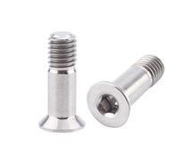 Fzaqwen 2 Pièces Vis de Arrière Vis Limite Vis de Boulon Roue Arrière Vis de Douille Arrière en Titane Adaptée pour Cyclistes