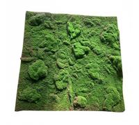 Fzaqwen Panneau de Verdure Décoratif Tapis de Lichen Artificiel Feuillage Synthétique Plaque de Mousse Imitation Décor, 1m X 1m, Mousse À Gros Bourgeons en Relief