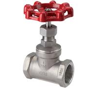 G 2-1/2'' Robinet à soupape inox 16 bar