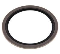 G 2" Acier inoxydable/FKM Joint à collage hydraulique 60,6x73x2,5 mm