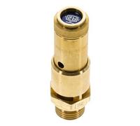 G Soupape de sécurité préréglée en laiton 1/2'' 3.4 bar (49.31 psi) DN 10