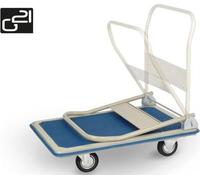 G21 Chariot à plate-forme 150kg