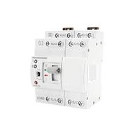 G2R Din Rail ATS Automatic Transfer Switch Electrical Selector Switches Dual Power Switch Din Rail 2P 4P 220V EKFBQBGW(G2R 2P 63A)