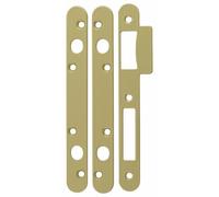 Vachette Jeu de gâches réversibles pour serrure TRILOCK 5900 – bout rond – A2P* – Noir 16633000