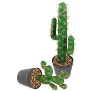 Gadpiparty 2 Pièces Petit Cactus Artificiel Décoratif Plante Verte Réaliste