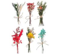 Gadpiparty Bouquet Stabilisé de 6 Mini Fleurs Séchées Assorties pour Décoration Intérieure, Mariage et Événements Spéciaux, Tiges Naturelles pour Création DIY