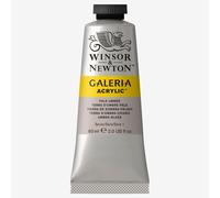 Galeria Acrylic Paint 60ml Tube By Winsor & Newton - Pale Umber