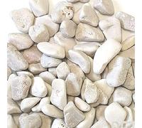 Galets en marbre blanc de Carrara ø 15/25 mm Sac de 25 kg Pour pots