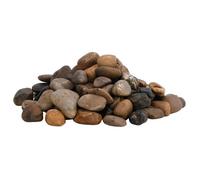 Galets polis multicolores - vidaXL - 25 kg - 2-5 cm - Mélange de couleurs - Pierre naturelle - Surface lisse