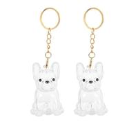 GALPADA 2 Pièces Porte-clés Transparent en Abs pour Rangement de Poils d'animaux de Compagnie, Boîte Capsule Portable et Mignonne, Maison Voyages