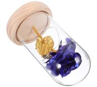GALPADA Décoration Éternelle Rose Artificielle sous Cloche en Verre avec Éclairage LED Basse Consommation de Dôme pour Maison et Bureau